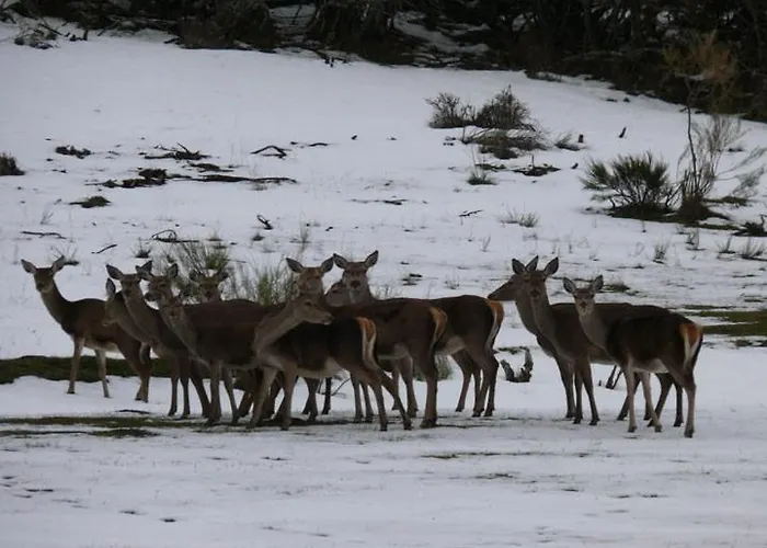 Дом отдыха Ruralba